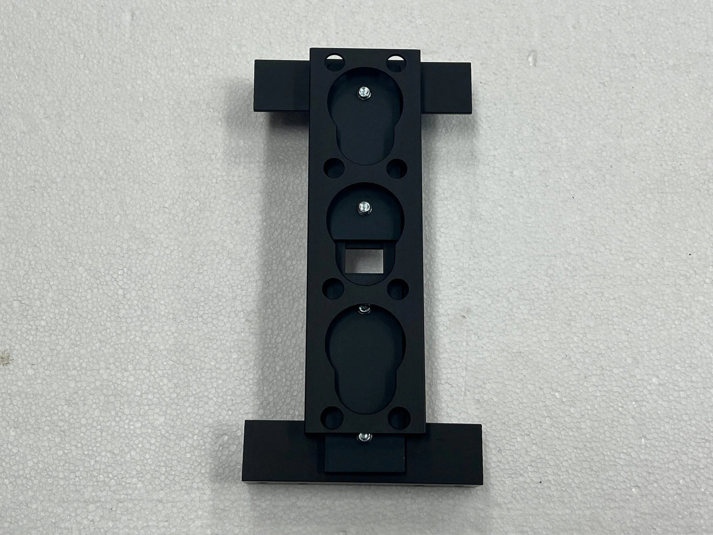 Roof and floor mount for module rail